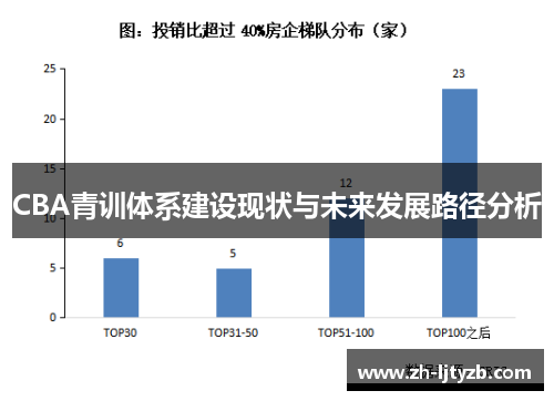 CBA青训体系建设现状与未来发展路径分析